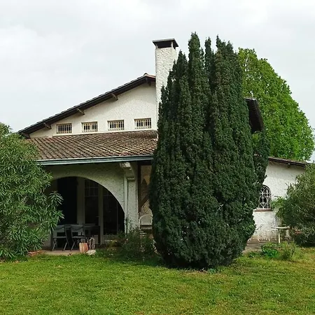 Du Parc I Maison De Caractere, Proche Centre Montauban